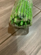 Load image into Gallery viewer, Reflective Driveway/property markers (set of 50)