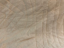 Load image into Gallery viewer, Indoor/outdoor pillow blanket